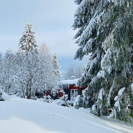 Baude Steinheid Am Rennsteig Mit 12 Betten Extérieur photo