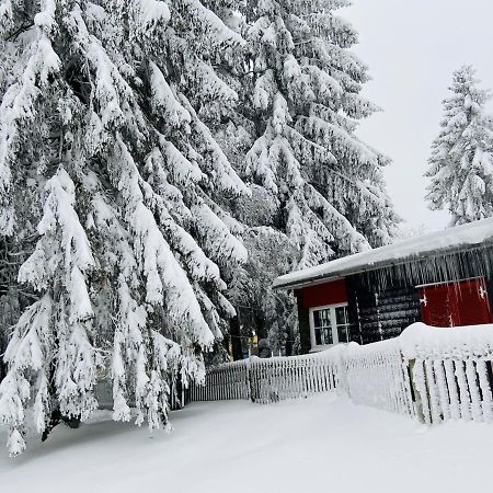 Baude Steinheid Am Rennsteig Mit 12 Betten Extérieur photo